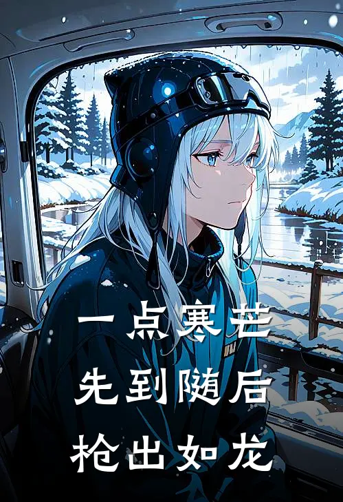 一点寒芒先到随后枪出如龙