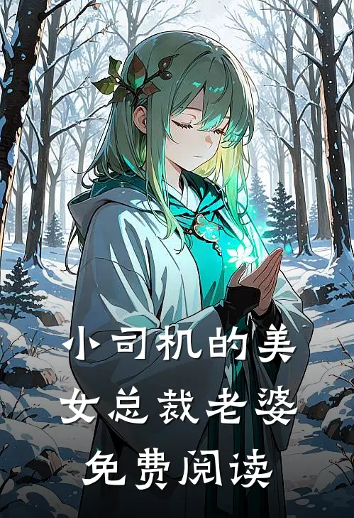 小司机的美女总裁老婆免费阅读